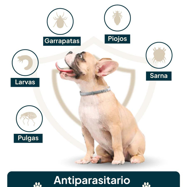 PawDefender™ - ¡Protección Total para Tu Mascota, Días de Juegos y Noches Tranquilas!