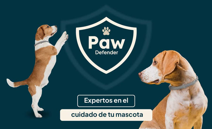 PawDefender™ - ¡Protección Total para Tu Mascota, Días de Juegos y Noches Tranquilas!