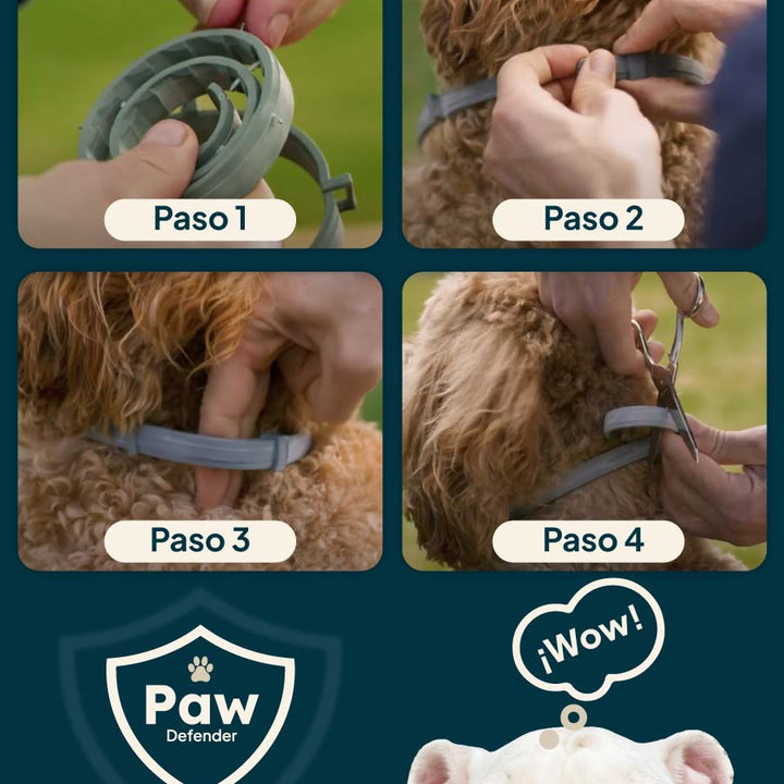 PawDefender™ - ¡Protección Total para Tu Mascota, Días de Juegos y Noches Tranquilas!